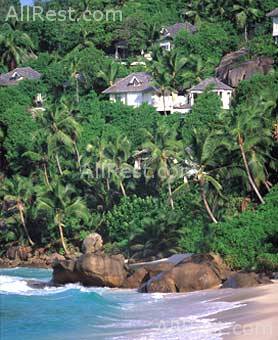Banyan Tree Deluxe 35